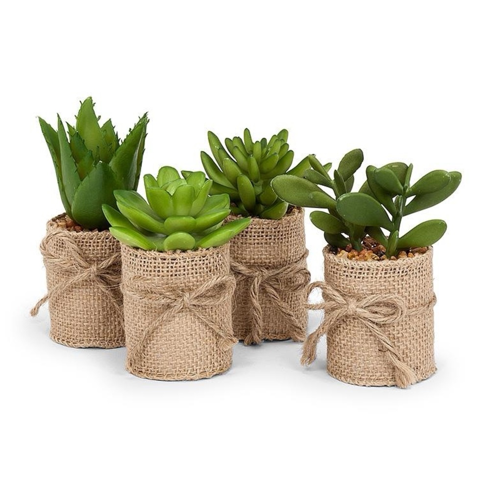 Set of 4 Faux Succulents in Burlap Wrap